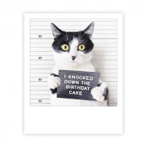 Pickmotion Karte "I knocked down the birthday cake"