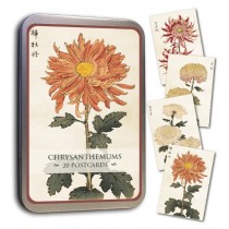 Vintage Karten Set Chrysanthemen